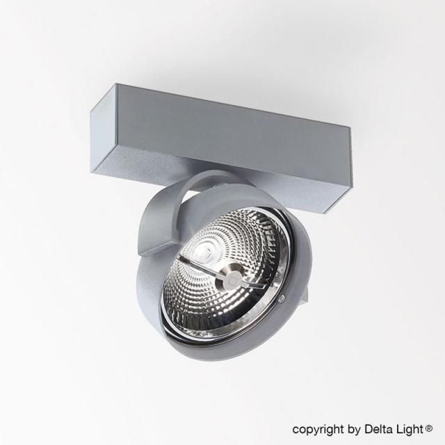 DELTA LIGHT Rand 111 LED DIM8 Deckenleuchte / Spot, 1-flg