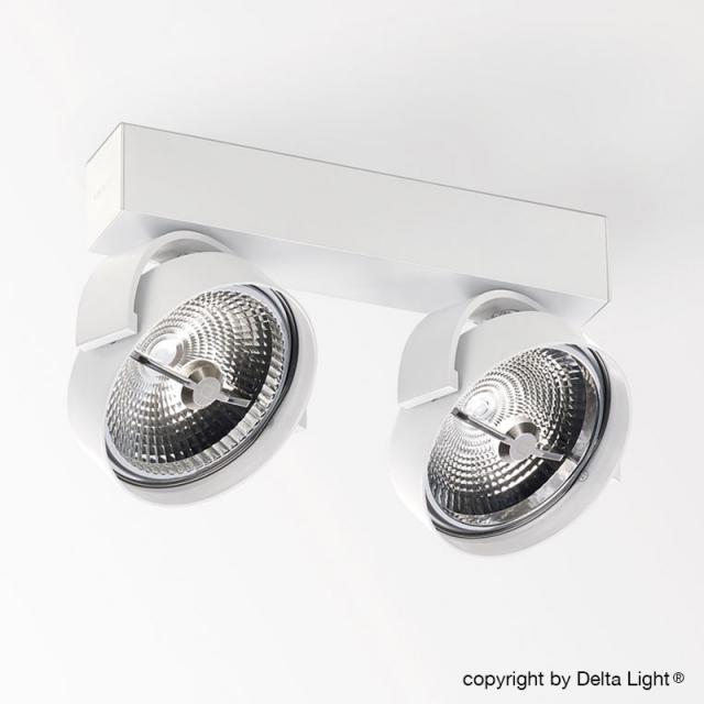 DELTA LIGHT Rand 211 LED DIM8 Deckenleuchte / Spot, 2-flg