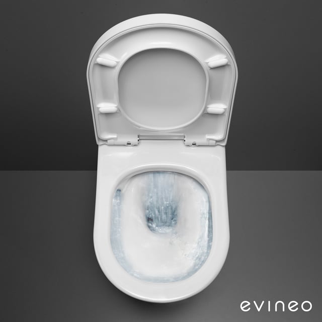 Elena Wc Rak Toilet And RAK - Elena Back To Wall WC Pan With Soft Close Seat At ...