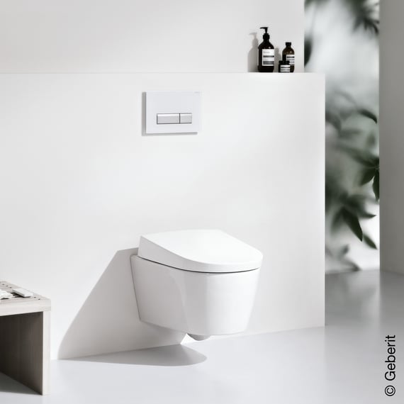 Geberit AquaClean Sela toilet seat and lid, year of production 2013 -  03/2019