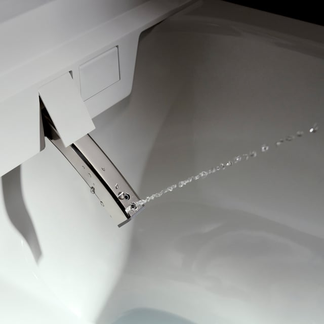 hansgrohe LavaPura Element S wall-mounted, shower toilet with
