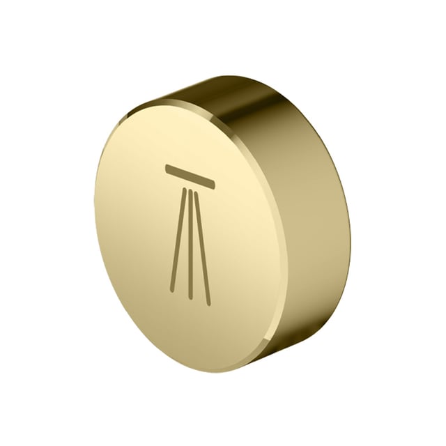 Pet Ric Symbol Mariner Eden Ersatz-Taste mit Symbol: Kopfbrause 2-te Strahlart gold ...