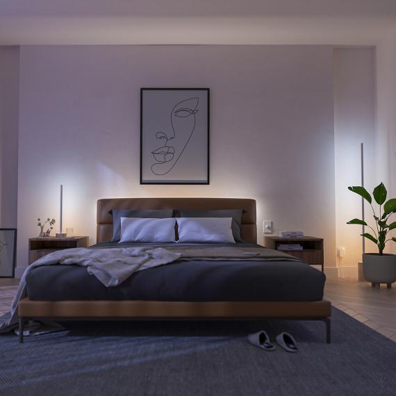 PHILIPS Hue White Stehleuchte mit & | Color Ambiance Signe 8719514433526 LED REUTER Dimmer Gradient 