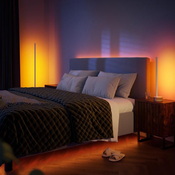 PHILIPS Hue White & Dimmer mit | 8719514433526 Ambiance LED Color Gradient Stehleuchte REUTER - Signe
