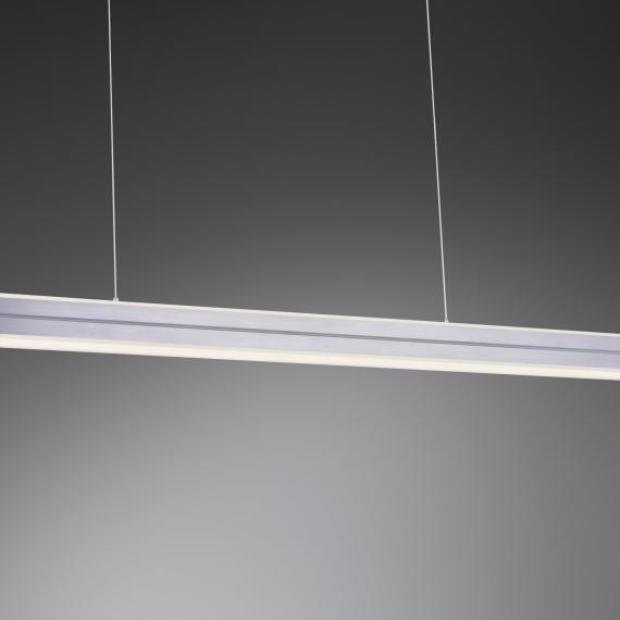 Paul Neuhaus Niro LED Pendelleuchte mit Dimmer und CCT - 15050-55 | REUTER