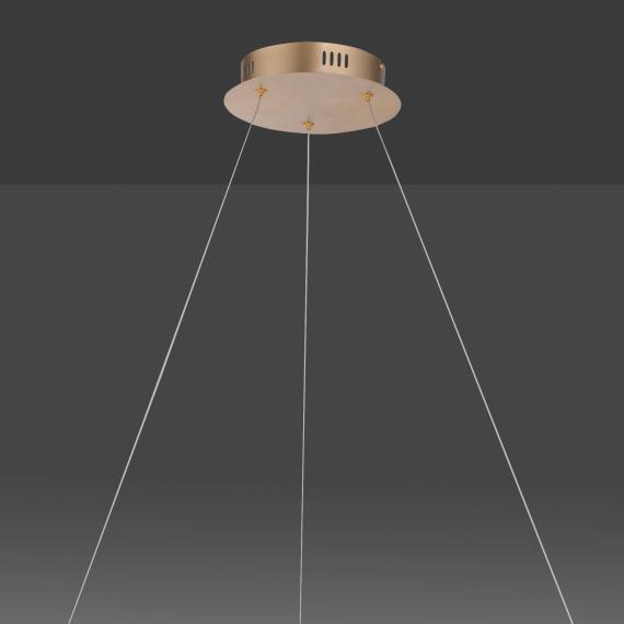 Paul Neuhaus Titus LED Pendelleuchte mit Dimmer - 2383-60 | REUTER | Standleuchten