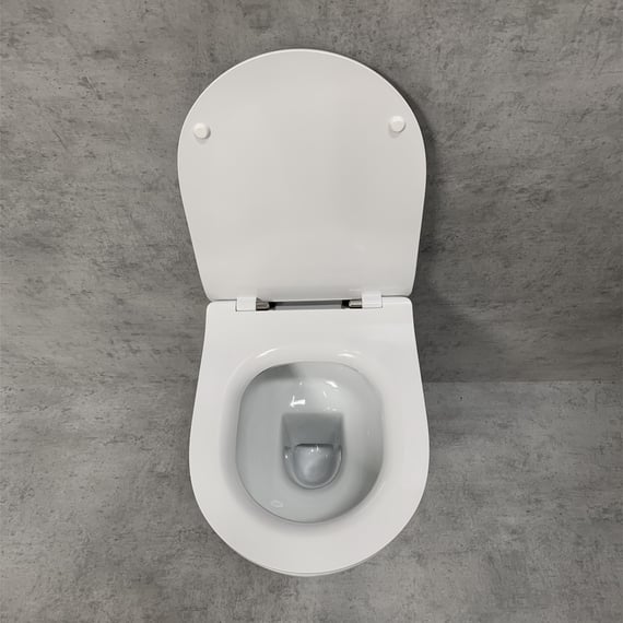 PREMIUM 100 wall-mounted washdown toilet SET with mounting
